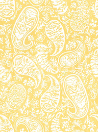 High-resolution floral paisley design.

