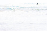 Surfer Wall Mural