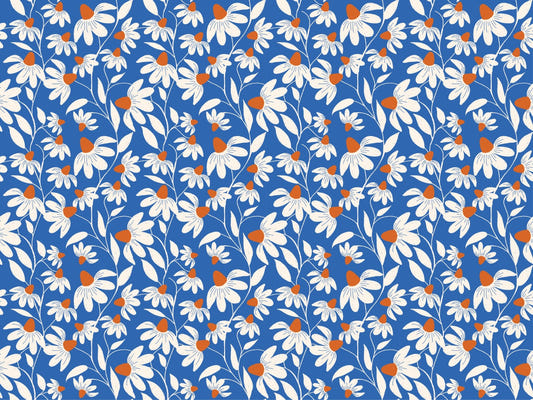 white coneflower wallpaper murals