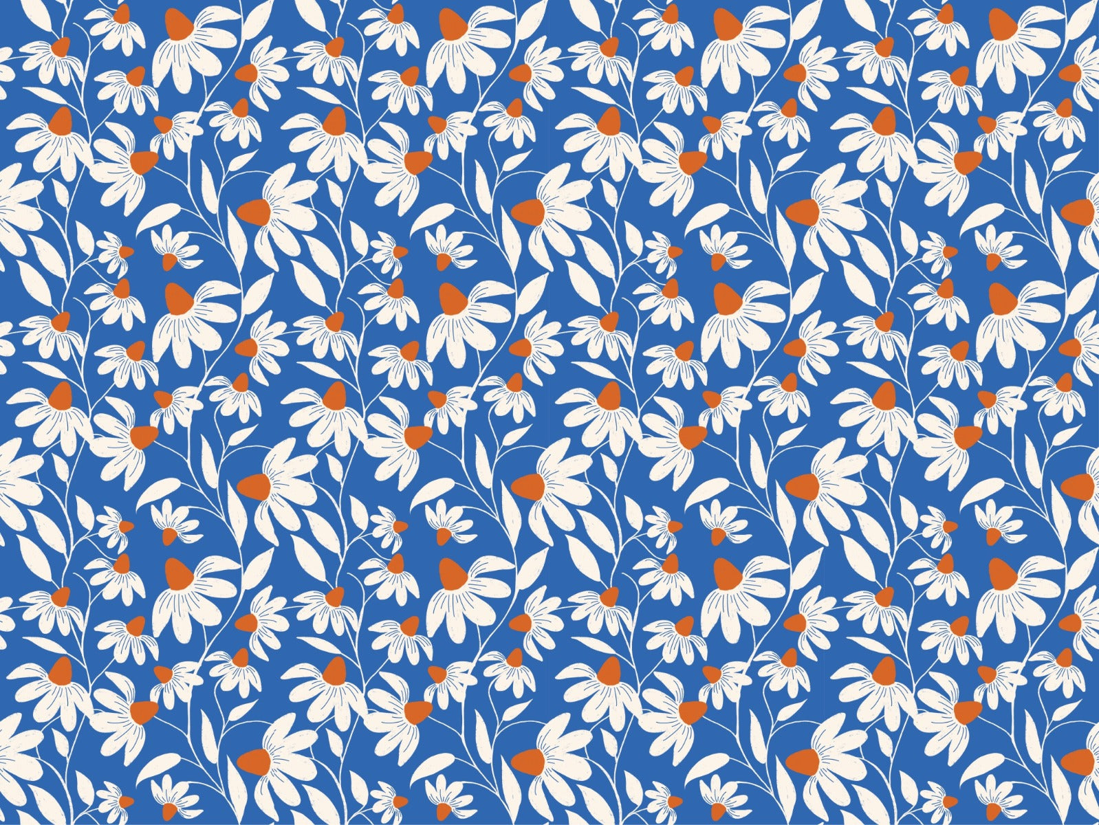 white coneflower wallpaper murals