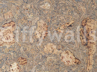 A high-quality rustic wood wall mural for walls.

