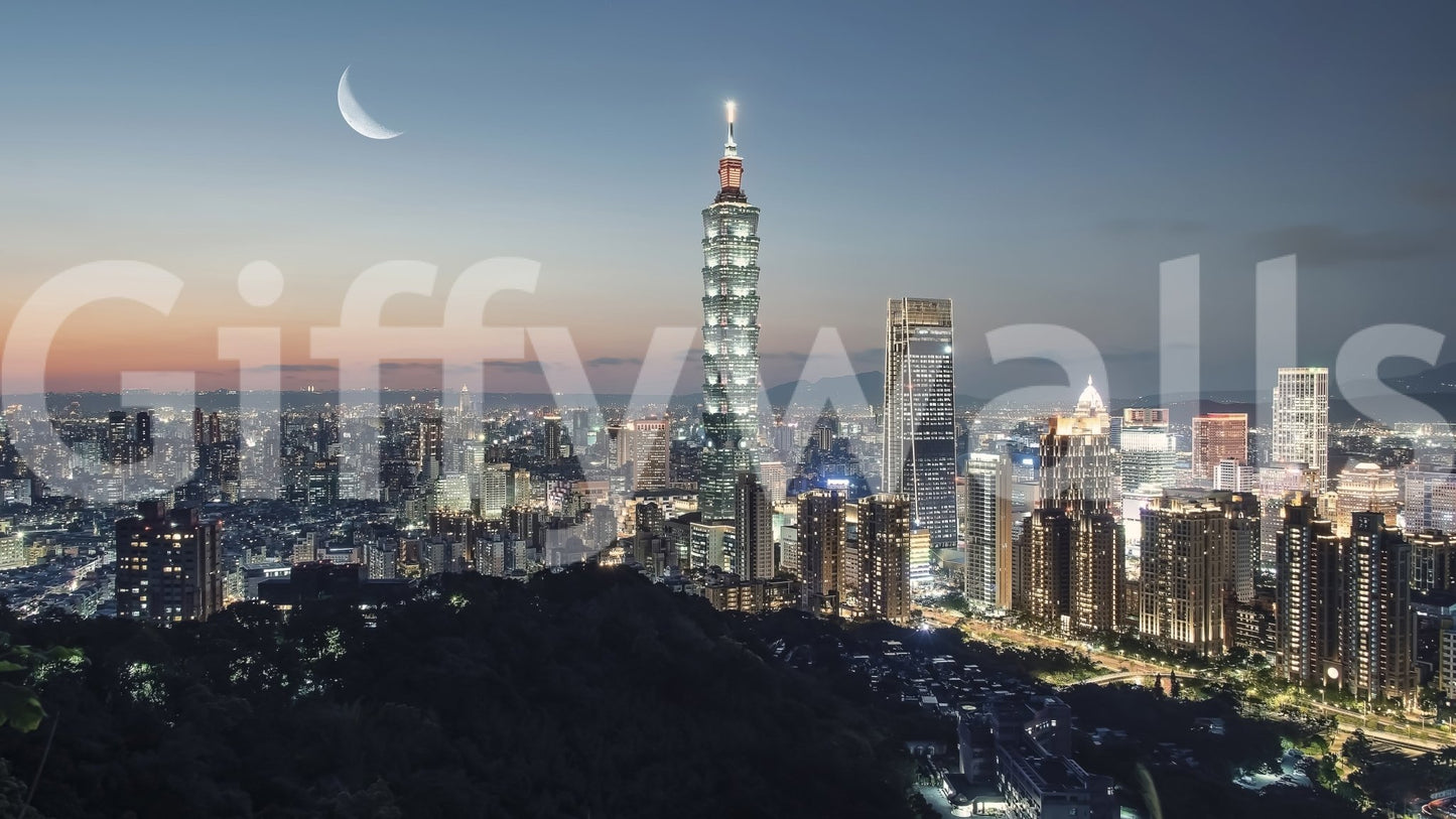 Professional office Taipei wall mural design.