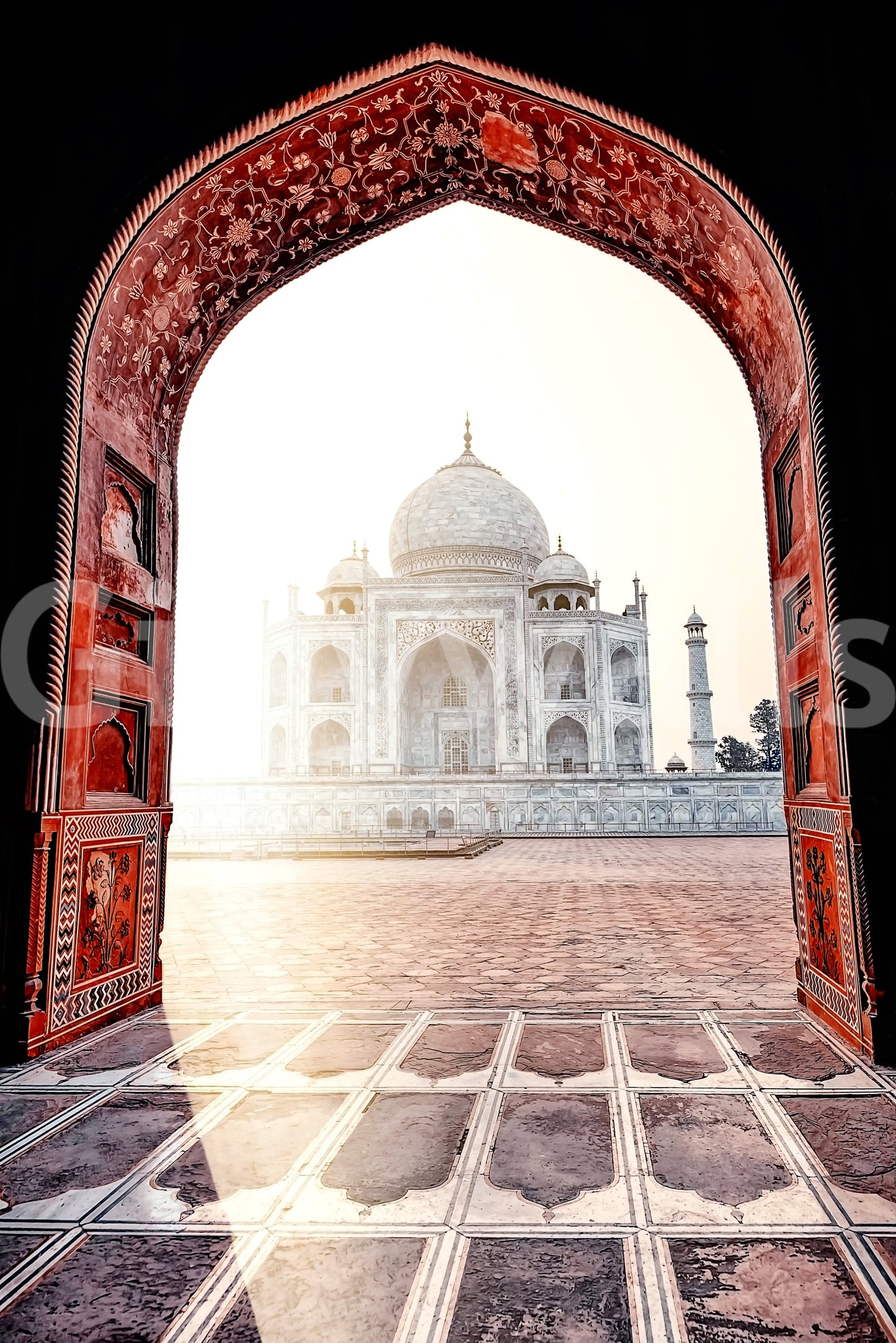 Taj Mahal Vista Wall Mural