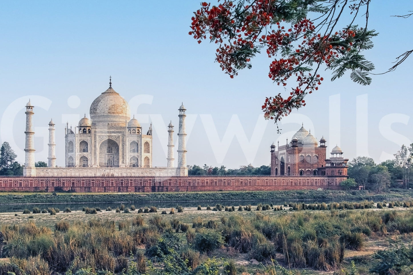 Taj Serenity Wall Mural