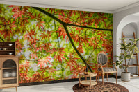 Breathtaking panoramic autumn landscape.

