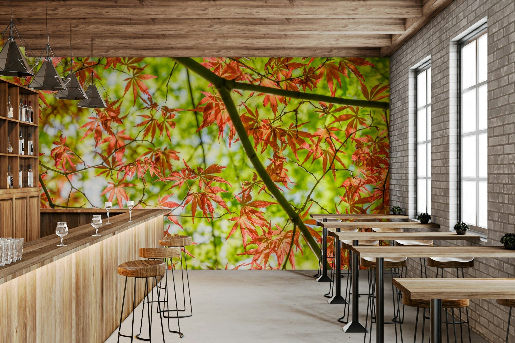 Serene yet dynamic essence of fall.

