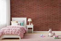 A classic terracotta wallpaper for walls.

