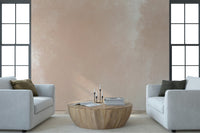 Terracotta Whisper Wall Mural -2417847