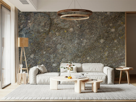 Textured rock surface wall mural in living room., GD6056