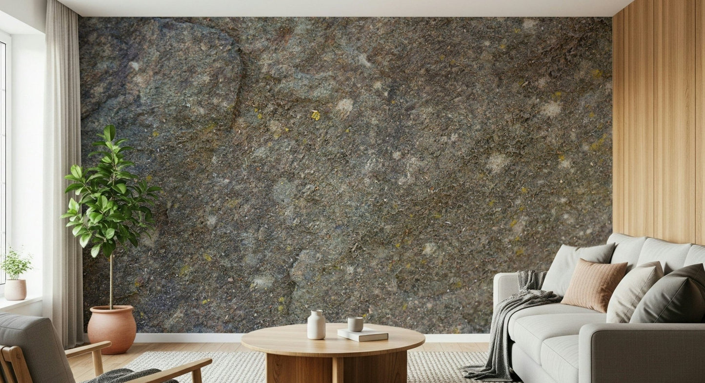 Natural textured rock surface wallpaper mural.