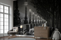 The pavement is wet, with light reflecting on it.

