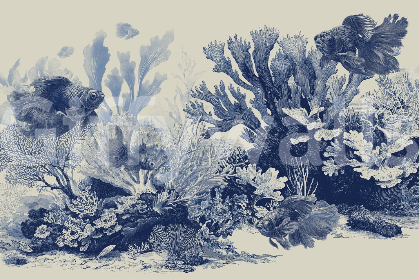 Swimming goldfish among blue seaweed and coral., GD8428