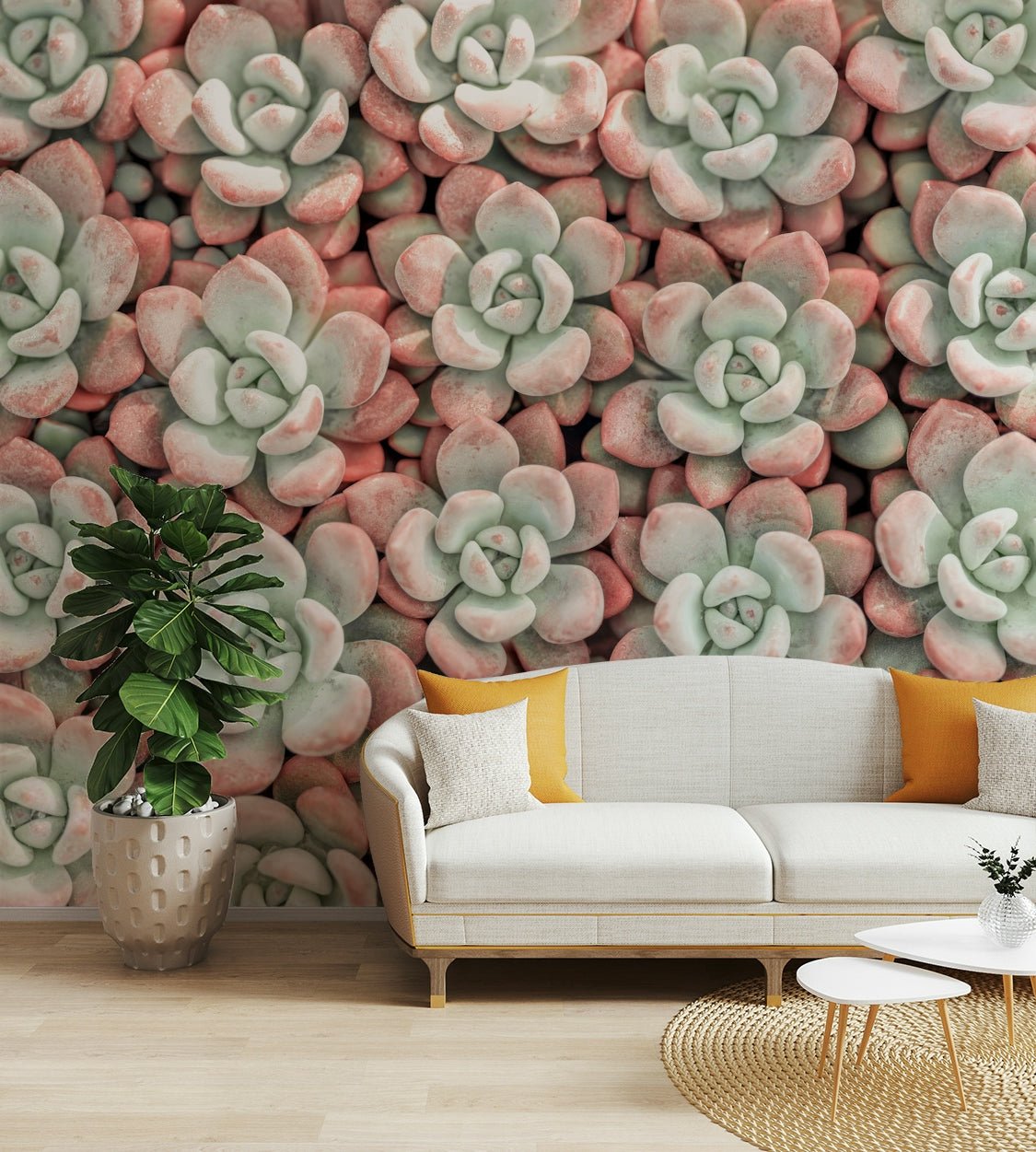 Succulent art wall mural for plant lovers

