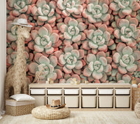 Stylish mural with cactus and succulent forms

