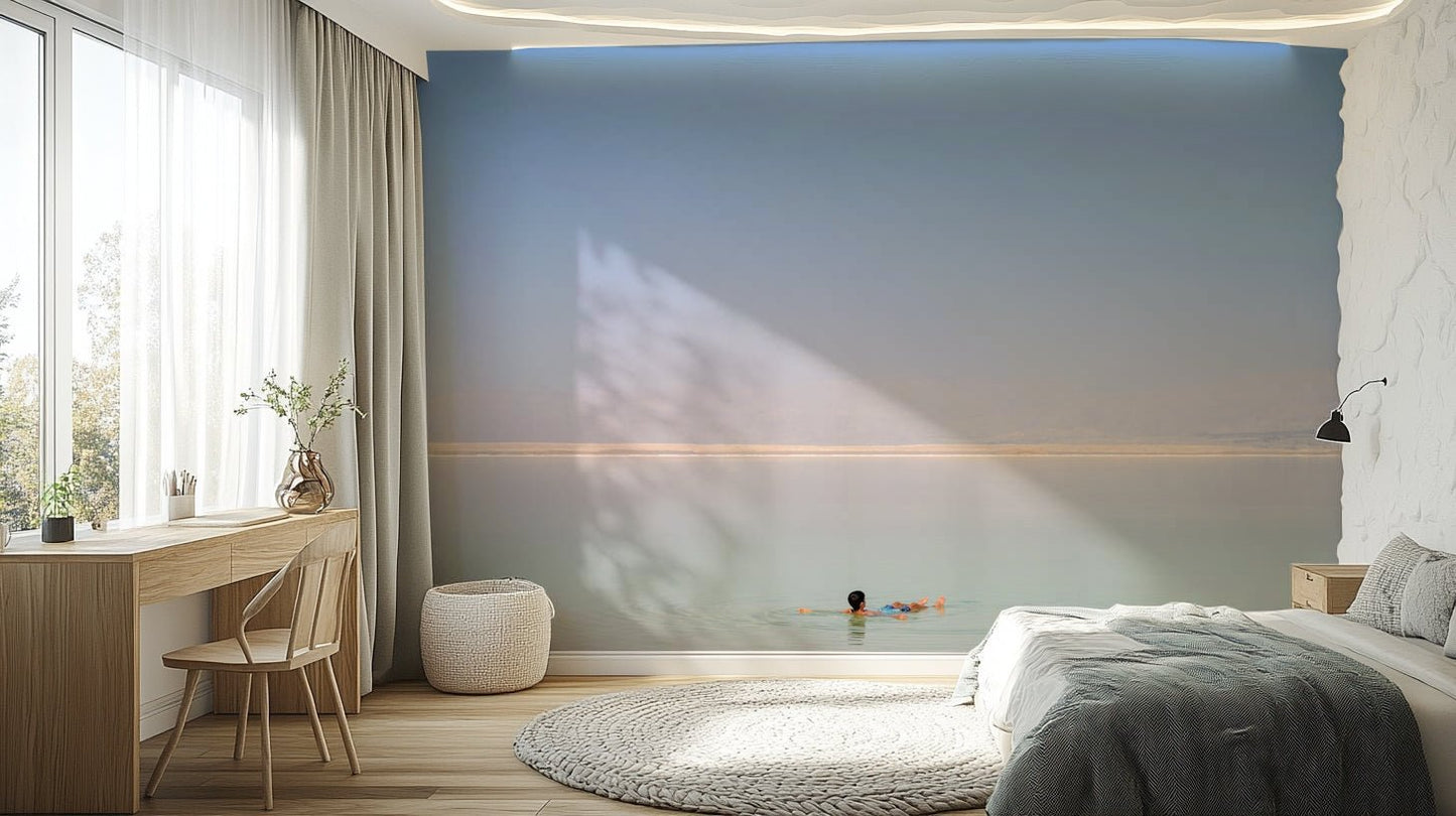 A contemplative Dead Sea view wallpaper mural for a feature wall.

