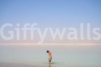 A high-quality serene landscape wall mural for walls., GD4698