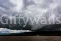 A high-quality vast field wall mural for walls.

