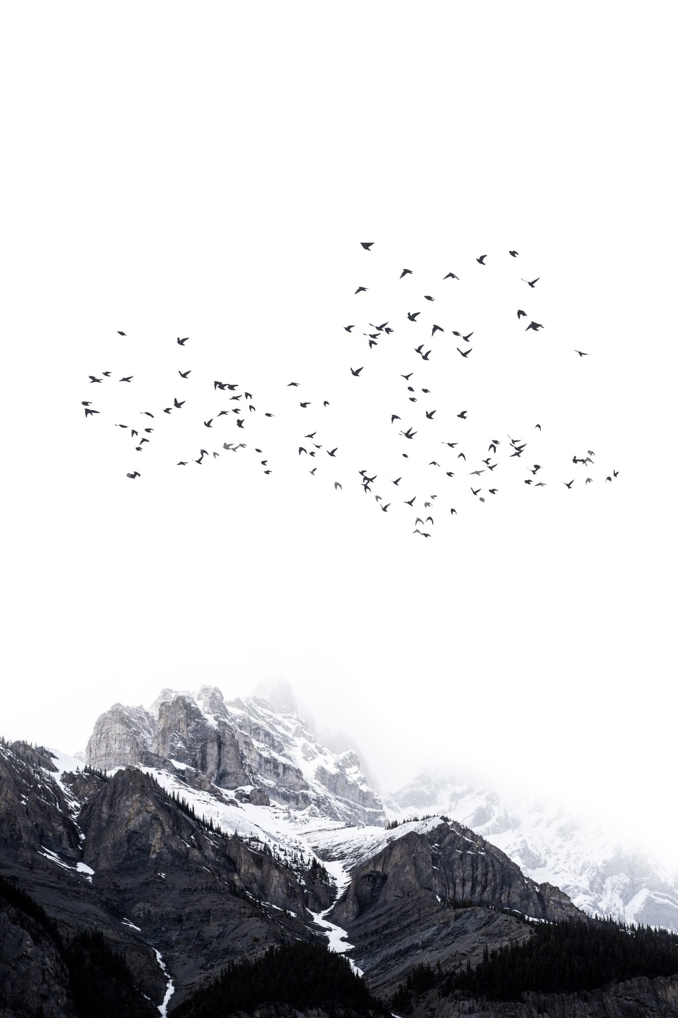 The texture appears smooth and artistic, like a painting or detailed illustration.
