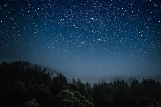 Starry Night Wallpaper Mural
