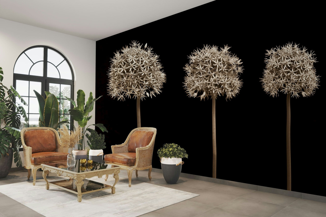 Black background with three allium flowers mural.

