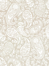High-resolution neutral paisley pattern.

