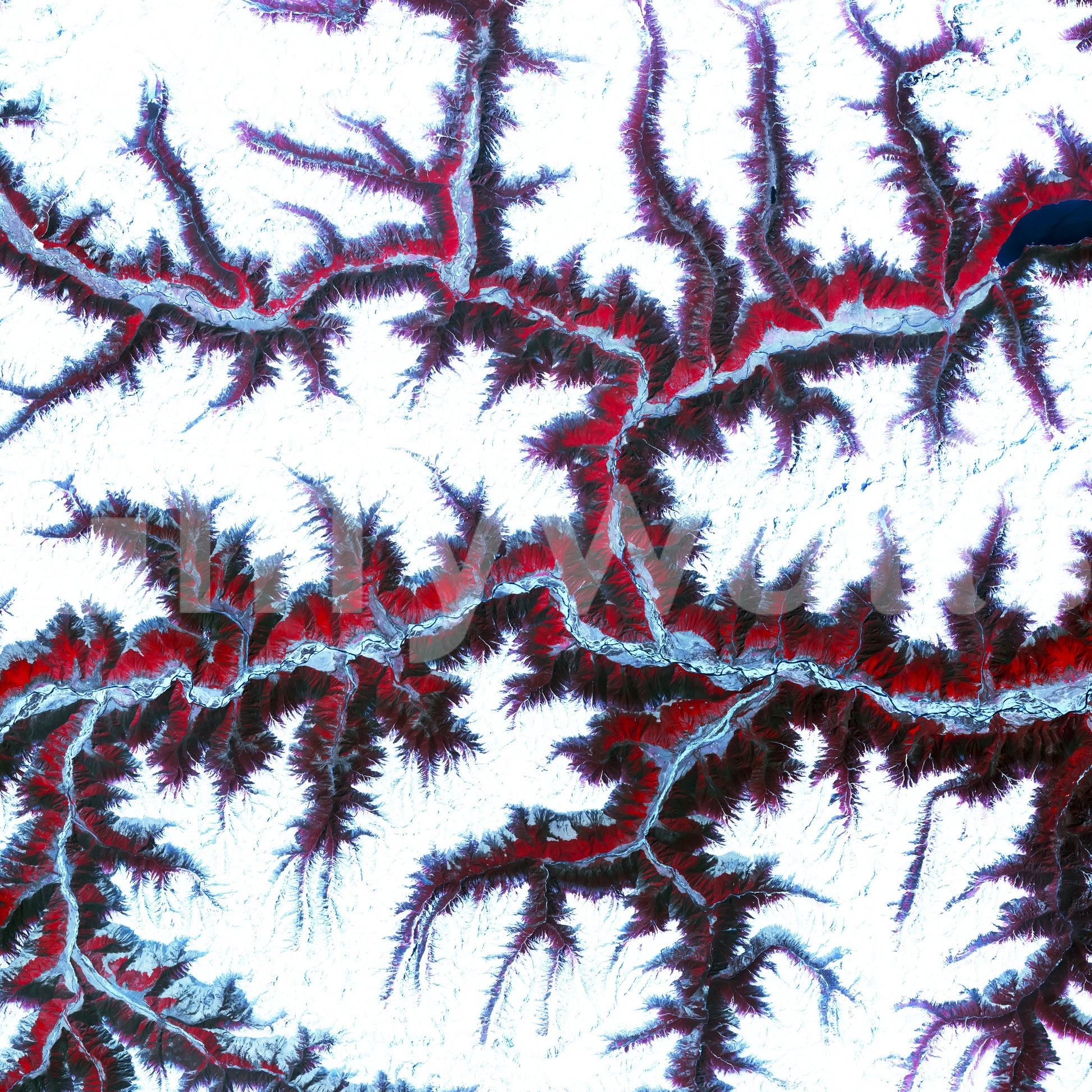 The abstract shapes are a central focus of the image.

