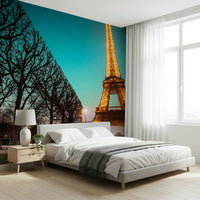 Iconic French scene Towards Twinkling Tower, beautiful city mural.