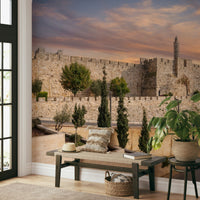 The image is a high-quality photograph.

