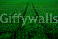 A high-quality minimalist track wall mural for walls.

