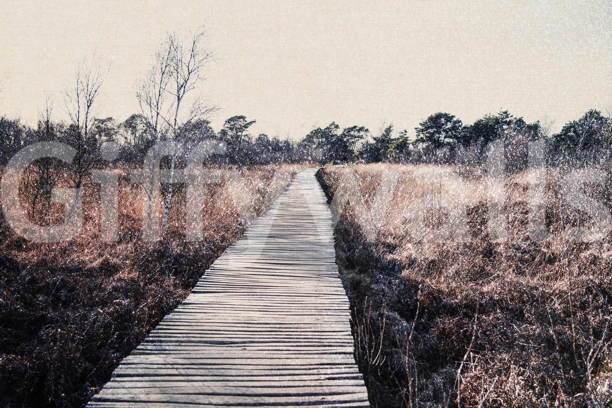 Nature inspired wall mural with a walking path for a serene home.