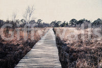 Nature inspired wall mural with a walking path for a serene home.