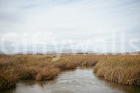 A high-quality minimalist wall mural for walls.