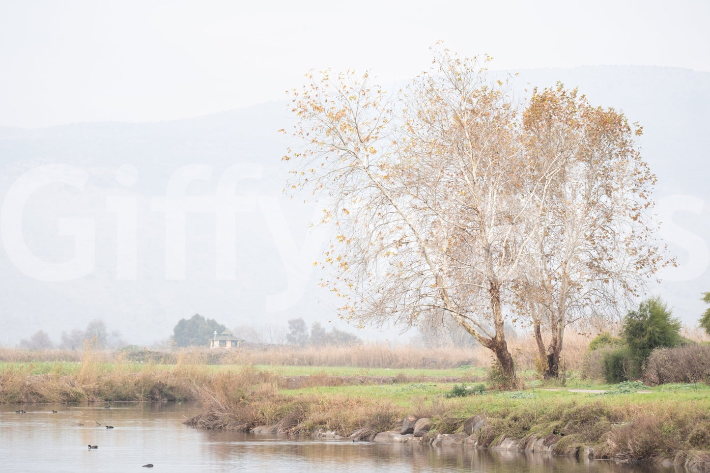 Dreamy landscape wall decor
