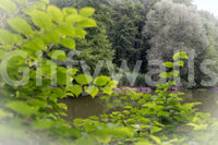 Adds depth and elegance with its calming forest and water design

