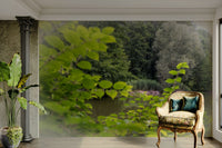 Creates a serene and restorative atmosphere in any room

