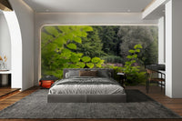 Tranquil Nature Scene Wall Mural with lush green foliage

