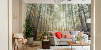 A classic natural wallpaper for walls with sunbeams.

