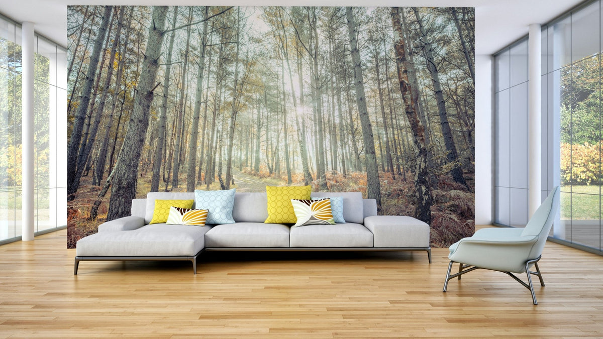 A beautiful tranquil path wallpaper mural in a sunlit forest., GD4635