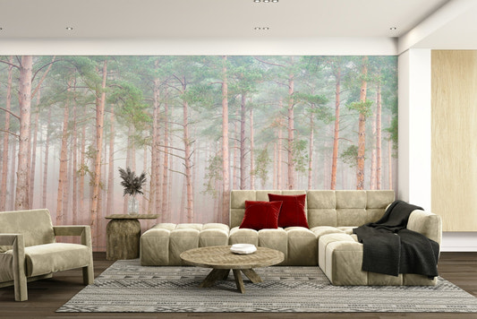 Peaceful forest scene with tall pine trees.

