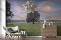Tranquil Sunrise Field Wall Mural displayed in a patio Living area with an airy layout, GD8872