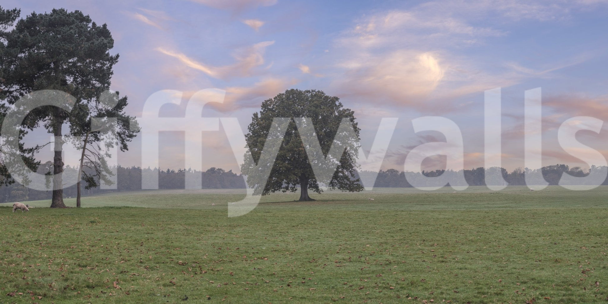 Soft clouds and grazing meadow define Tranquil Sunrise Field Wall Mural scenery, GD8872
