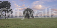 Soft clouds and grazing meadow define Tranquil Sunrise Field Wall Mural scenery, GD8872