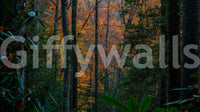A high-quality minimalist tree wall mural for walls., GD5113