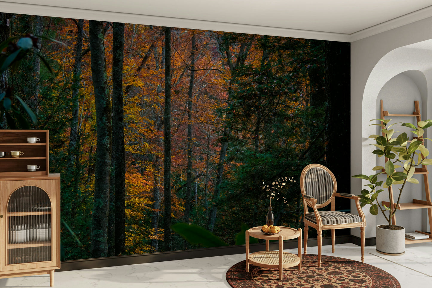 A beautiful dense forest wallpaper mural with tall trees.

