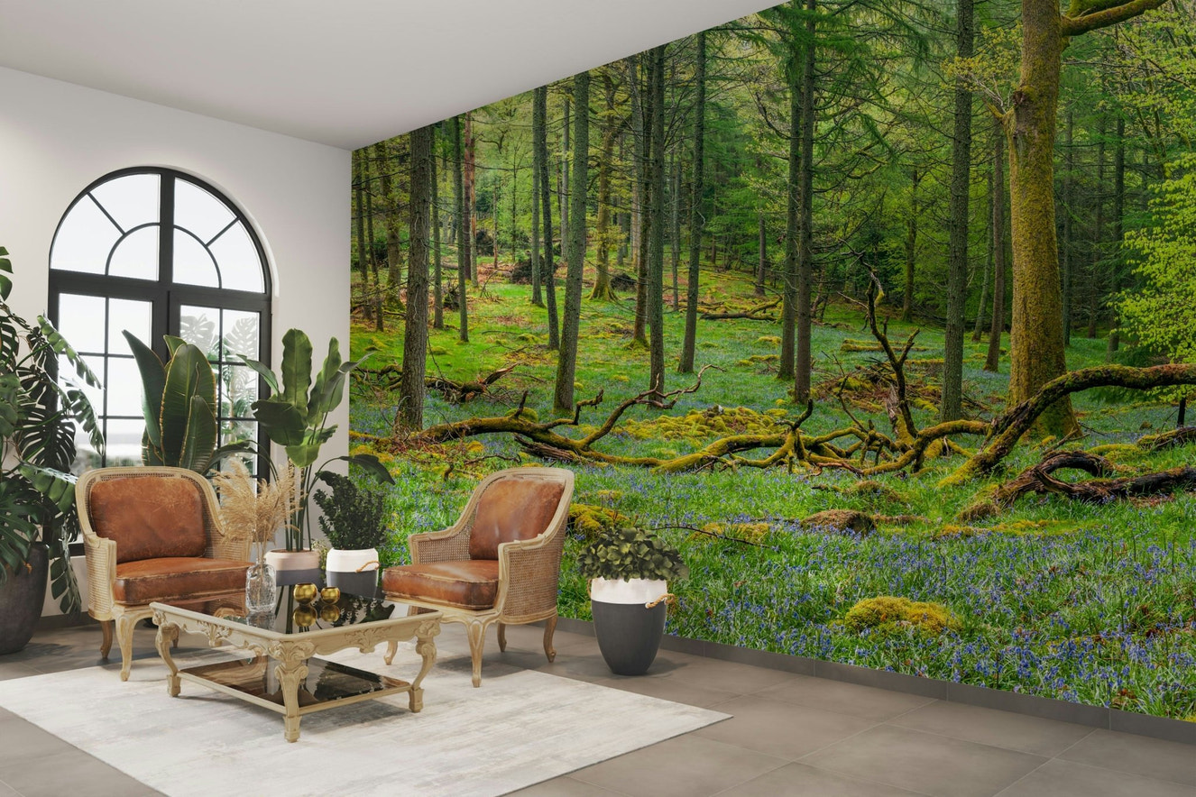 A peaceful wall mural with a forest scene.

