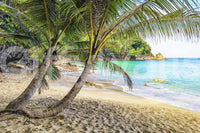 Tropical Beach Escape Wall Mural with curved palms above a bright sandy shoreline