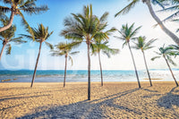 Tropical paradise wall mural for home office.