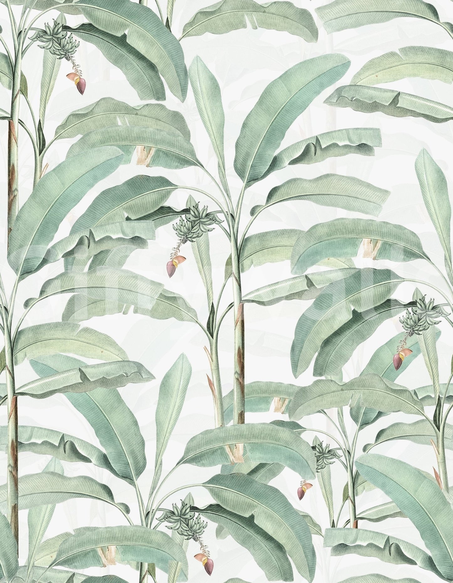 Nature-inspired tropical botanical wallpaper

