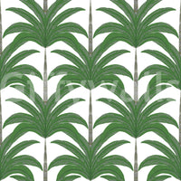 Tropical Frond Rhythm Wallpaper⁠GD9152