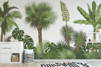 Green Forest Palm tree Wallpaper Murals - Giffywalls A672
